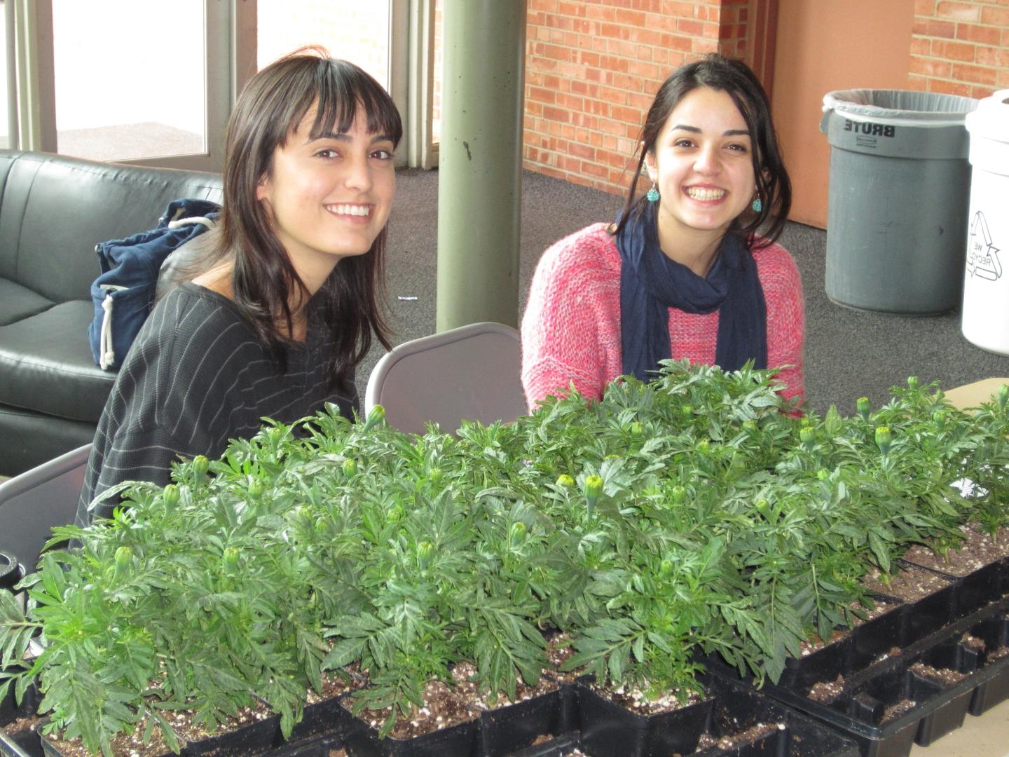 Students with plants 