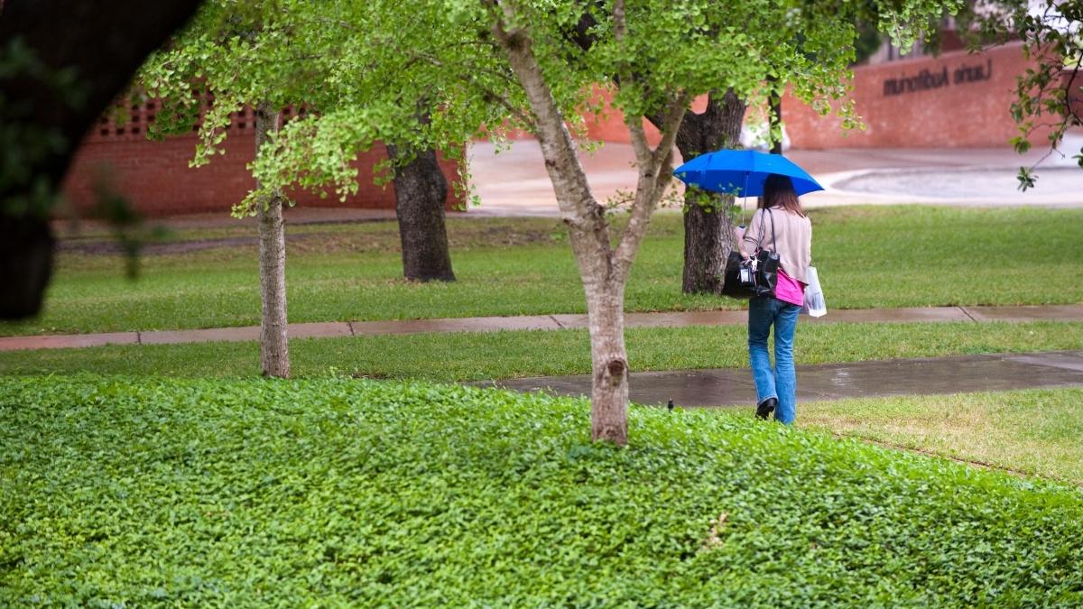 一个人带着伞在校园里散步